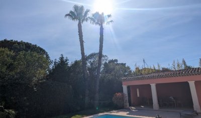 JM Paysage à réaliser l'élagage de palmiers de type washingtonia de grande hauteur sans nacelle en toute sécurité à Lorgues