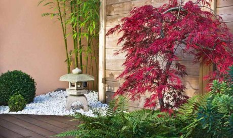 Paysagiste pour la création d'un jardin zen japonais aux Arcs 