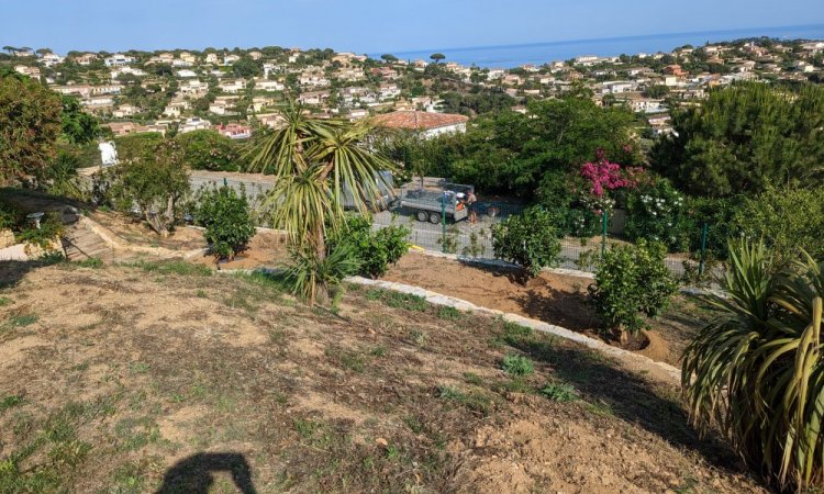 Jm Paysage plantations d'agrumes avec une grue à Sainte-Maxime