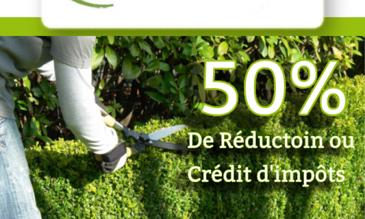 Bénéficiez d’une réduction fiscale de 50% pour l’entretien de votre jardin